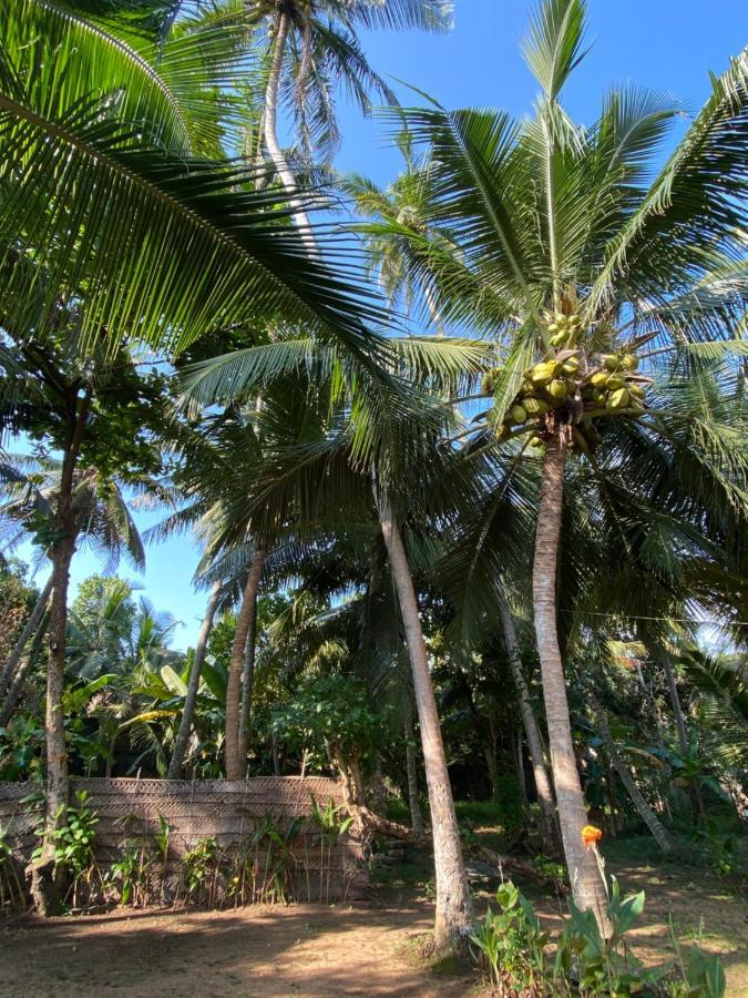 Mango Villa ヒッカドゥワ エクステリア 写真